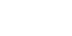 reebok_white[1]